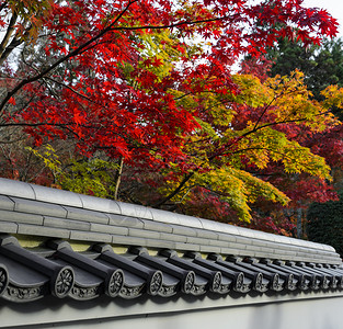 在日本京都秋季方天南或泽林吉寺庙的日本佛教院屋顶绿色永观堂宗教图片