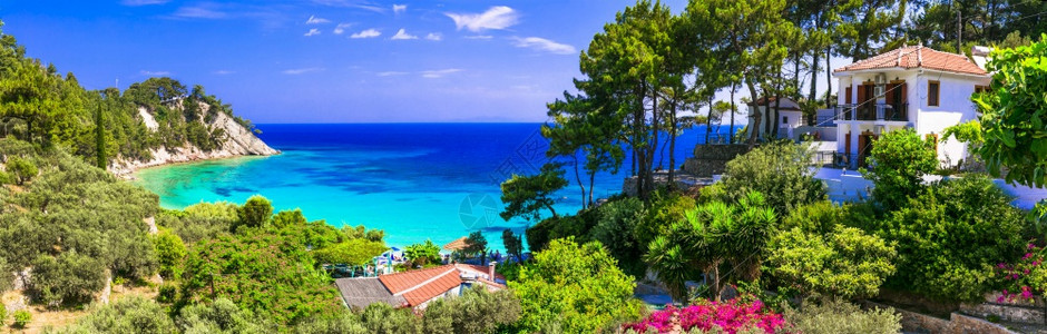 吸引力自然树希腊系列最美丽的海滩萨莫斯岛的莱纳基亚海滩图片