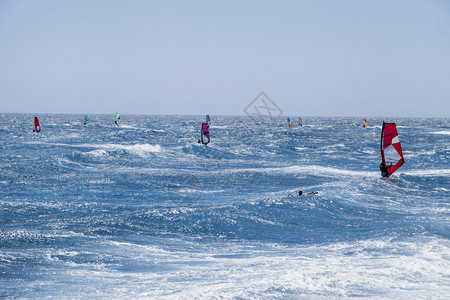 冲浪者一群风渡船在海洋中以多彩帆练习风冲浪凉爽的图片