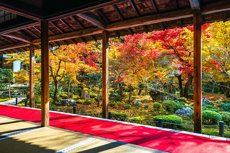日本人木头京都Enkoji寺庙秋天美丽的花园公图片