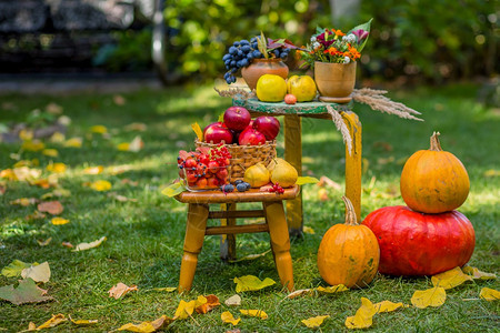 秋景植物南瓜柳条篮中的苹果陶瓷盆木椅复古风格花园里的作文户外秋景花园里的作文场景水果红色的图片