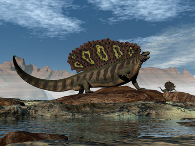 白昼在岩石上行走的动物3D使白磷龙在史前动物岩石上行走的动物3D经过蜥蜴动物群图片