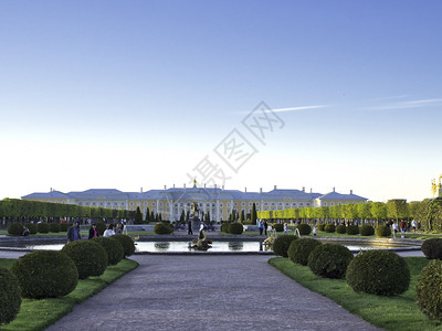 盛大金的彼得霍夫宫上花园雕塑喷泉PETEHOF2019年5月俄罗斯联邦彼得霍夫宫上花园雕塑喷泉风景优美图片