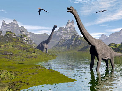 在水中行走的木龙恐由美丽的一天在水面上行走中的木龙恐3D转化成风景优美迪诺爪子图片