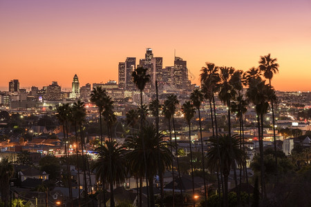 夜晚洛杉矶美丽的日落市中心天际和棕榈树在地上城市轮廓图片
