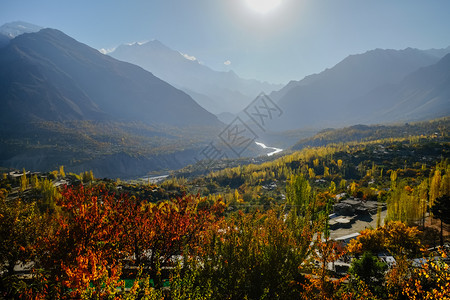 徒步旅行黄色的在巴基斯坦GilgitBaltistan秋季的HunzaNagar山谷背景下卡拉科姆山脉的森林和中照亮了多彩的叶子图片