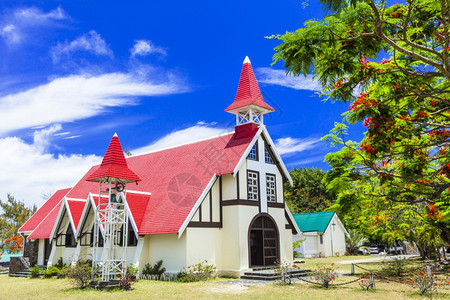 印度人美丽的毛里求斯岛屿地标红教堂在毛里求斯岛以北有盛开花丛茂的鲜艳树种著名小教堂塔图片