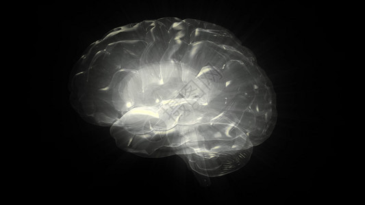 3D人脑计算机模型的3D成像概念和从医学摄影仪器上关于大脑结构的数据概念人类大脑计算机模型的3D小脑创造力心理学图片
