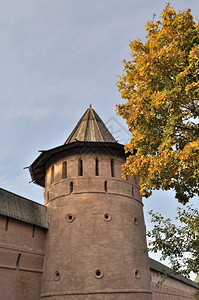 棕色的俄罗斯金环苏兹达尔中世纪斯帕索埃夫菲梅斯基修道院塔外部的图片