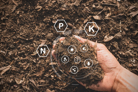 钼土壤中的肥在芒rrrquos手和各种技术图标周围最佳环境的图片