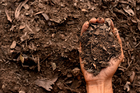 生态男人手中的拉绳用于种植土壤质地背景生长氮图片