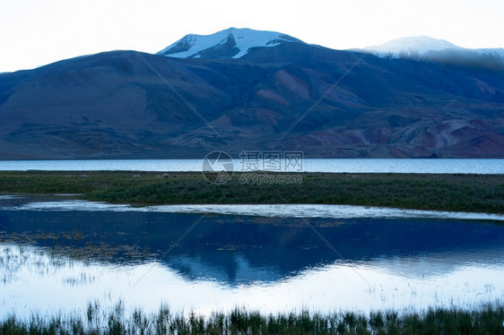 藏夏天太阳TsoMoririri湖喜马拉雅山脉地貌黎明TsoMoririri湖印度拉达赫海拔460米图片