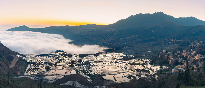 圆扬的云雾大海的田稻全景有机的美丽遗产高清图片