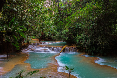 丛林老挝LuangPraprabang的美丽风景旅游热带图片