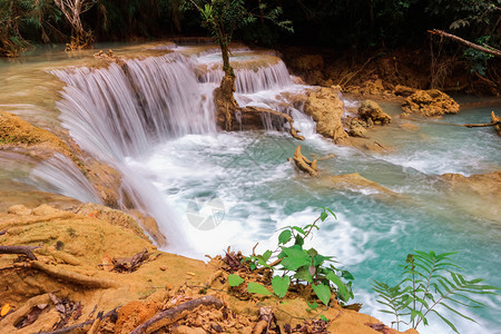 叶子蓝色的目地老挝LuangPraprabang的美丽风景图片