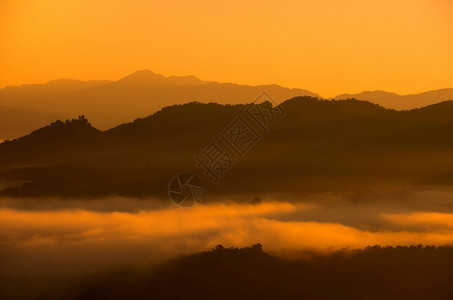 绿色清晨森林中美丽的雾和金色光芒绿山有白贾博梅红子泰国雾在森林中松树爬坡道图片