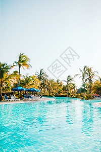 休息太阳美丽的奢华风景在旅馆度假村的游泳池周围有棕榈树在旅馆度假村的游泳池周围有美丽的豪华风景椰子图片
