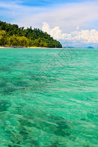 太阳泰国安达曼海阳光明媚时清水美丽的天图片