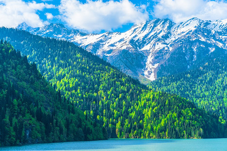 树高加索山脉美丽的里察湖青山丘陵蓝天白云春风景高加索山脉美丽的里察湖春天风景岩石森林图片