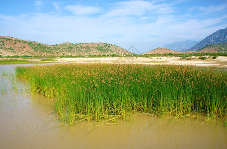 环境抽象的春天越南美丽景色白天在下的空新鲜自然青绿草叶从水中生长山链离开精疲力尽的地方和谐令人惊叹的越南旅行景象图片