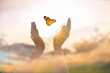 象征女孩从一瞬间解放蝴蝶自由的概念转型幻想图片