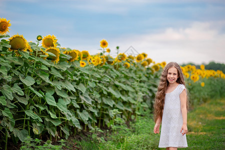乡村的植物沿着田野向日葵走在路上的漂亮女孩一个长发的美丽肖像沿着田野向日葵走在路上的漂亮女孩黎明图片