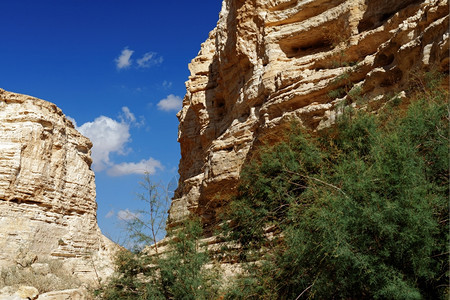 分层的有色EinAvdatEinOvdat峡谷风景秀丽的悬崖在以色列绿图片