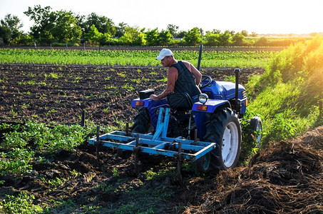 农民在拖拉机上耕种马铃薯植园照顾农场机械播种和松开地面土壤质量改善农用工业和综合企耕作景观肥料收成蔬菜图片