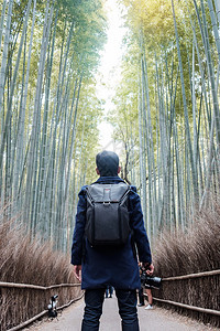 在日本京都旅游观光景点很受欢迎的亚洲旅行概念校对PortnoyThomaBanbooGroveArashiyamaBambooG图片