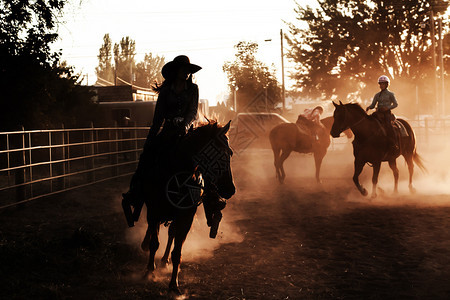 日落的太阳休谢马背上骑手古洛士罗德奥达斯地帝竞技场人类骑兵哺乳动物图片