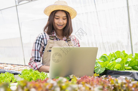 种植园温室收集蔬菜生长信息并使用膝上型电脑将数据传给网交易互联供销售的客户技术与现代商业通信概念以收集植物生长信息及利用手提电脑图片