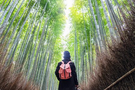 关西背部年轻女在日本京都旅游观光景点受欢迎的亚间旅游概念在日本京都旅游观光景点上寻找成野竹森林里程碑亚洲快乐旅行者Arashiy图片