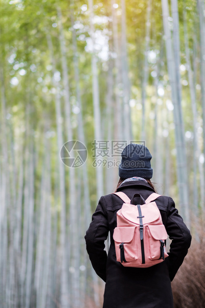 独奏绿色环境年轻女在日本京都旅游观光景点受欢迎的亚间旅游概念在日本京都旅游观光景点上寻找成野竹森林里程碑亚洲快乐旅行者Arash图片