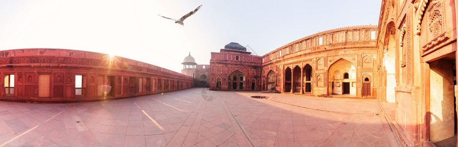 红阿格拉堡的贾汉吉尔宫阳光明媚的全景印度红阿格拉堡的印度贾汉吉尔宫阳光晴朗的全景塔古老鸟图片