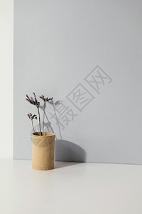 小型植物花瓶复制空间分辨率和高品质的美光抽象质最起码的植物花瓶复制空间高质量美光概念优质舒适家具公寓图片