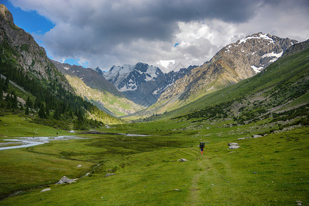 吉尔斯坦山区美丽的风景林有岩石fir树和蓝天空平户外场景静的最佳草图片