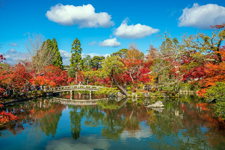 亚洲人叶子日本关西京都Eikando寺庙秋叶花园和池塘树木图片