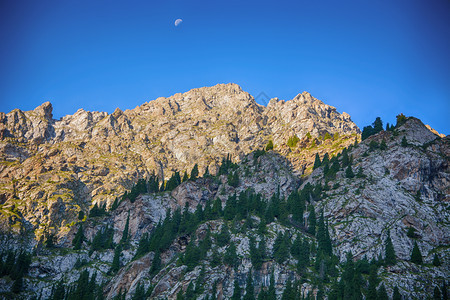 牧场寒冷的高加索吉尔斯坦山区美丽的风景林有岩石fir树和蓝天空平户外场景图片