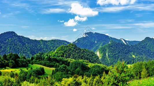 惊人的野花农场夏久间山地景观位于喀尔巴阡山脉的波兰皮涅尼公园蓝天背景图片