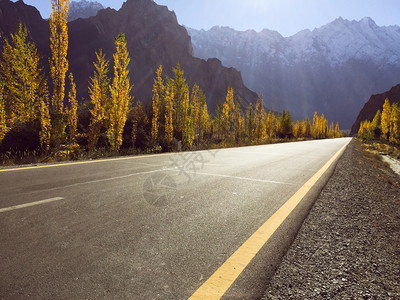 车道喀喇昆仑公路上一条空荡的柏油路与白雪皑的山脉和黄杨树相映成趣巴基斯坦吉尔特巴蒂斯坦帕苏的自然景观宁静黄色的目地图片