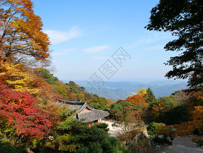 结石南韩京州圣古拉姆格罗托寺附近的美丽秋色叶子环绕着联合国教科文组织世界遗产山地上的SeokguuramGrotto庙建造宗教的图片