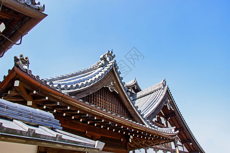 花园2018年3月日本传统木林圣殿屋顶在佛教寺庙和公园是日本京都的特征宗教潘皮萨尔图片