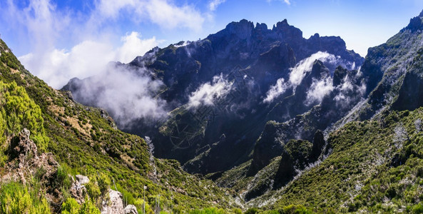 风景在马德拉岛的岩石山上远足为皮科鲁伊沃穿越云中的最高点佳悬崖图片