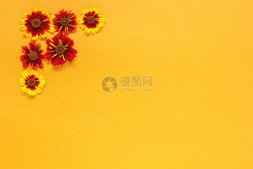 框架花卉构图橙色背景左上角的几朵黄色红花平躺自上而下的构图复制空间用于明信片刻字文本或您的设计模板花卉构图自上而下用于明信片字母图片