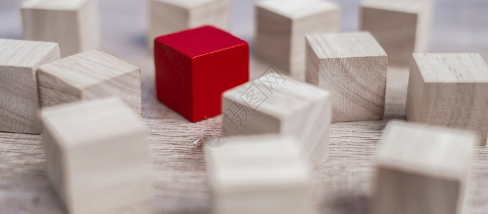 想象工作独立的红色方块与木群不同独特领袖战略独立思考商业和成功概念不同的战略图片