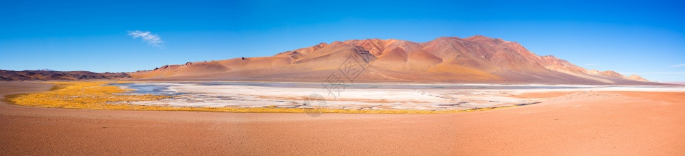 荒凉盐湖Altiplano高地420米度的安第斯原阿塔卡马沙漠智利南美洲Atacama沙漠图片