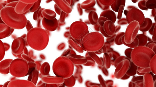免疫学3d渲染血细胞在白色背景上飞过动脉4k3d渲染血细胞在白色背景上飞过动脉健康循环图片