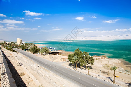 以色列死海公路山和棕榈树沙漠死的景观图片