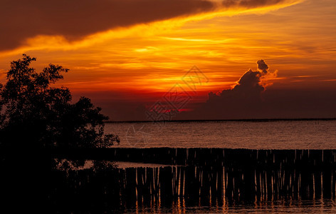 天际线热带海上美丽的红色和橙日落天空黎明景区图片