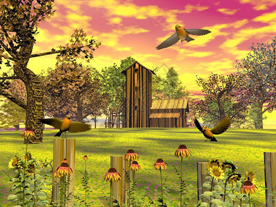 秋夕阳地的农舍树花草和鸟群秋季地貌3D绿色颜棕的图片